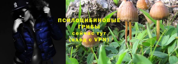 PSILOCYBIN Богданович